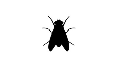 Fly insect symbol icon