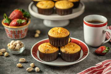 Healthy organic muffins made from cottage cheese, whole grain flour with dried cranberries. Organic baking, healthy food.