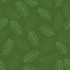 Vector seamless pattern with banana leaves