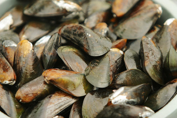 mariscos em Natal, Rio Grande do Norte, Brasil