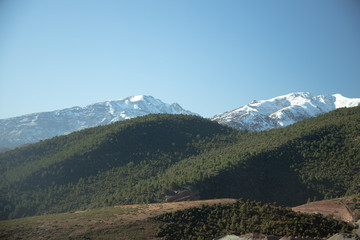 Forest and mountain landscape with blue sky background