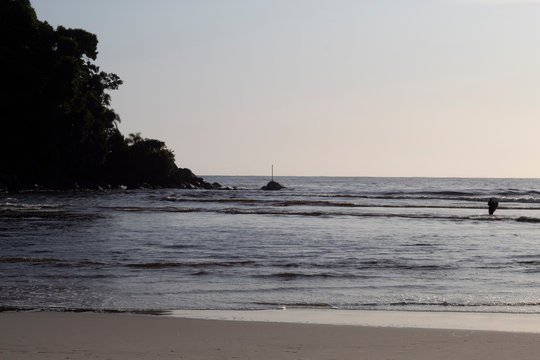 surfist on the beach 2