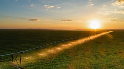 Agriculture - Aerial image, Pivot irrigation used to water plants on a farm. sunset, circular pivot irrigation with drone - Agribusiness