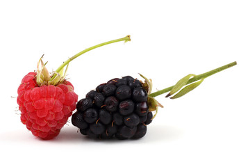 Blackberry and raspberry