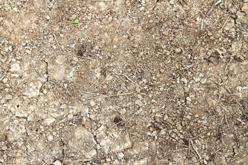 Cement texture and grunce background. Graphic resource for design. Copy space