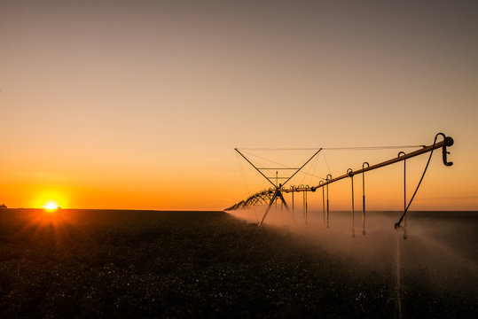 Agriculture - Aerial Image, Pivot Irrigation Used To Water Plants On A Farm. Sunset, Circular Pivot Irrigation With Drone - Agribusiness