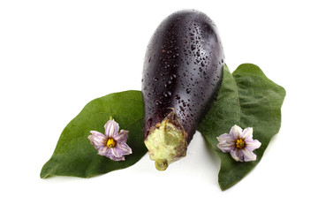 Eggplant, leaves and flowers