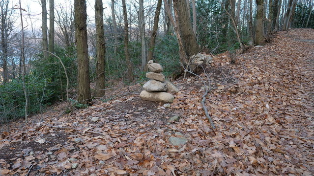 Tumulo segnaletico nella foresta