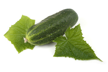 Cucumbers and leaves