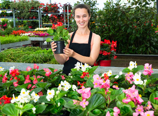 Young woman florist holding  dipladenia plants in pots indoors