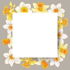 Obraz premium White rectangular frame on a background of pale yellow and white flowers of a daffodil. Design element for banners, cards, flyers.