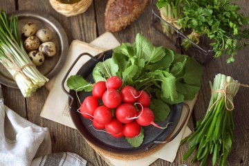 Fresh spring radish with wild garlic parsley and quail eggs on a wooden background. Ingredients for the salad.