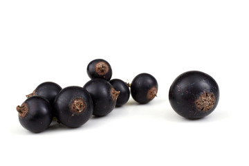 Cluster of black currant