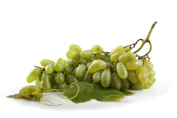 Green grape on leaves