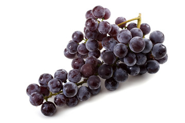 Black wine grape