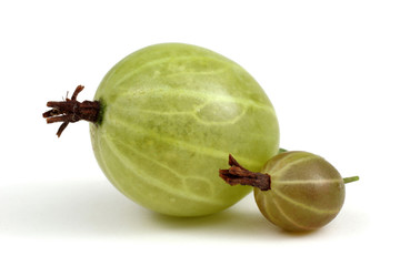 Green gooseberry