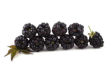 Blackberries and leaves