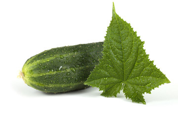 Cucumber and leaf