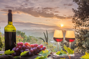 Wine Glasses And Bottle  In Vineyard At Sunset