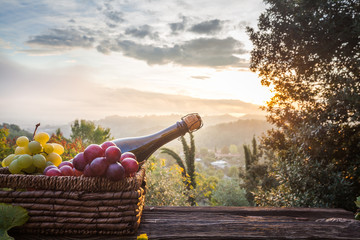 Wine Glasses And Bottle  In Vineyard At Sunset