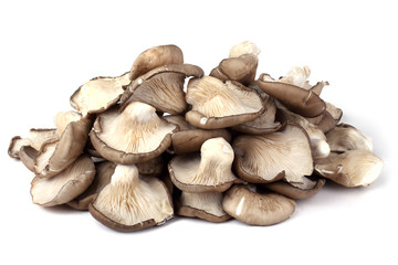 Oyster mushrooms