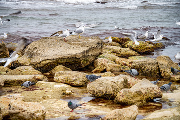 Берег Каспия