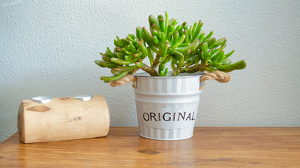 Home decoration with a handmade candle holder and a succulent plant called Crassula Ovata Gollum on a wooden table