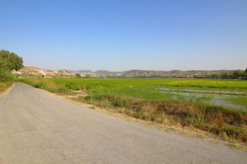 Arroz de Calasparra, Murcia, España