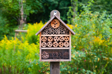 Insect hotel in the city park