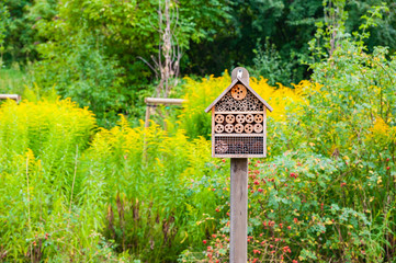 Insect hotel in the city park