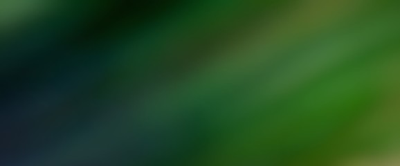 A Green Soft Blur Abstract Background