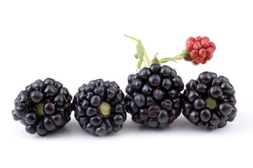 Blackberries