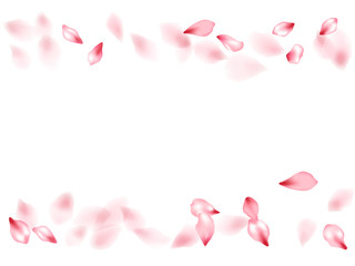 Pink sakura flower flying petals isolated on white vector background.