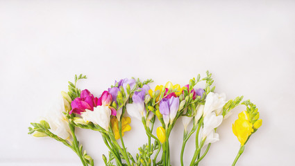 Colorful wildflowers isolated on a white background. Happy Easter concept. Copy space. Top view