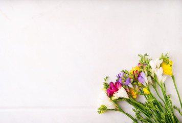 Colorful wildflowers isolated on a white background. Happy Easter concept. Copy space. Top view