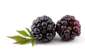 Blackberries