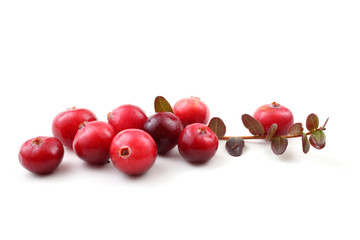 Cranberries and leaves