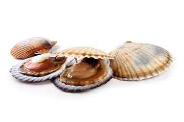 Opened and closed scallops