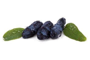 Honeyberries and leaves