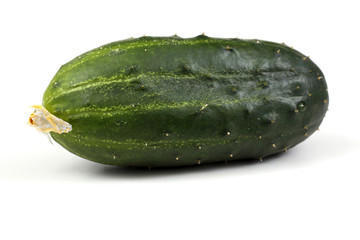Cucumber