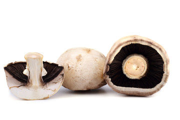 Champignon mushrooms