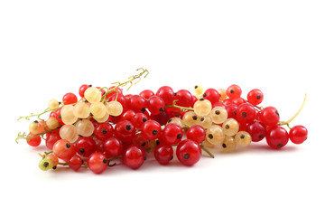 Red and white currant