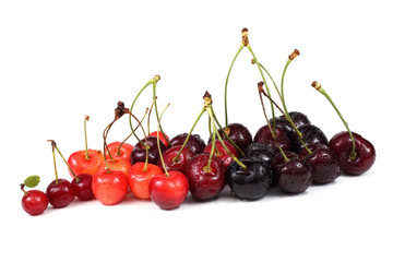 Different color cherries