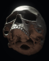Human Skull On Black Background