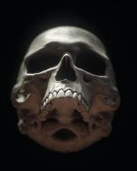 Human Skull On Black Background