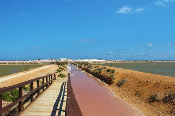 San Pedro del Pinatar, Murcia, España