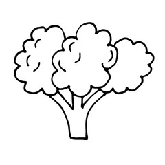 broccoli vegetable cartoon vector hand-drawn icon illustration