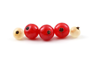 Red and white currant