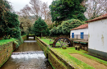 Fototapeta premium Beautiful park in Furnas. Azores.