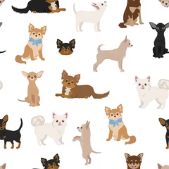Deurstickers Honden Chihuahua honden naadloze patroon. Verschillende soorten vachtkleurenset